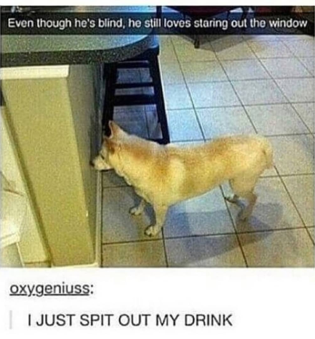 Meme_495