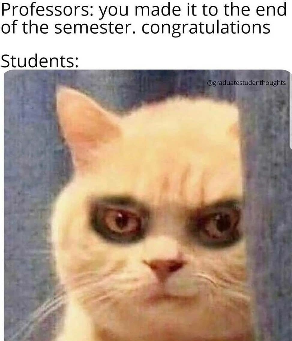 Meme_426