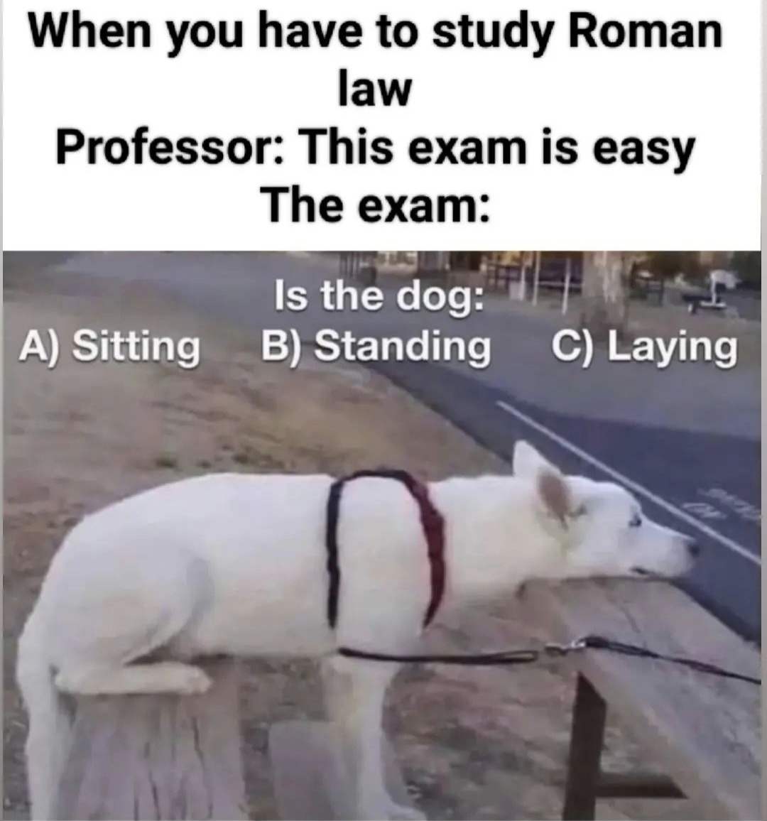 Meme_579